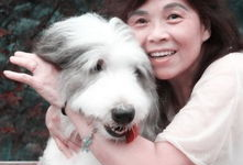 狗日女人视频,揭示女性在影视作品中的边缘化与歧视