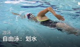 自由泳视频,跟随视频学游泳