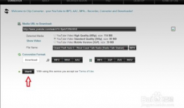 youtube视频下载网站,一键获取热门视频，轻松享受精彩内容！