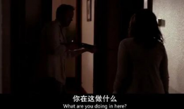 性关系视频,探索人类情感与生理的交织