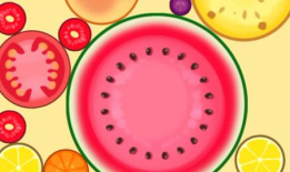 大西瓜 视频,揭秘西瓜种植与收获的奇妙之旅