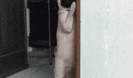 很黄很黄的视频,一场视觉与道德的较量