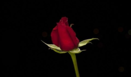 操女人的逼视频,逼视频背后的黑暗产业链