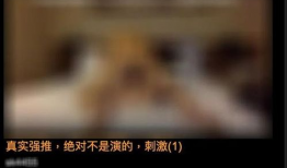 高清黄色视频,视觉冲击与伦理争议