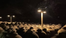 h色视频,探索h色视频背后的故事与启示