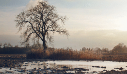 爱爱视频动态图,揭秘情感互动的瞬间魅力