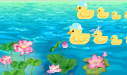 小鸭子儿歌视频大全,小鸭子儿歌视频大全欢乐集结