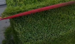 修剪视频,一瞥精彩瞬间