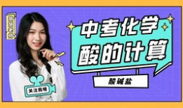 酸碱盐视频,揭秘化学世界的酸碱平衡与盐类反应