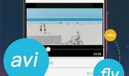 手机视频格式,揭秘多元视觉盛宴背后的技术奥秘