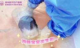 水中生孩子视频,见证生命诞生的独特瞬间