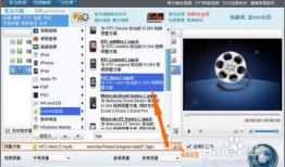 手机视频格式,揭秘多元视觉盛宴背后的技术奥秘